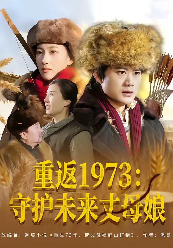 重返1973:守护未来丈母娘(2026)海报