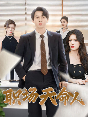 职场天命人(2024)海报