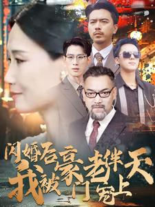闪婚后我被豪门老伴宠上天(2024)海报