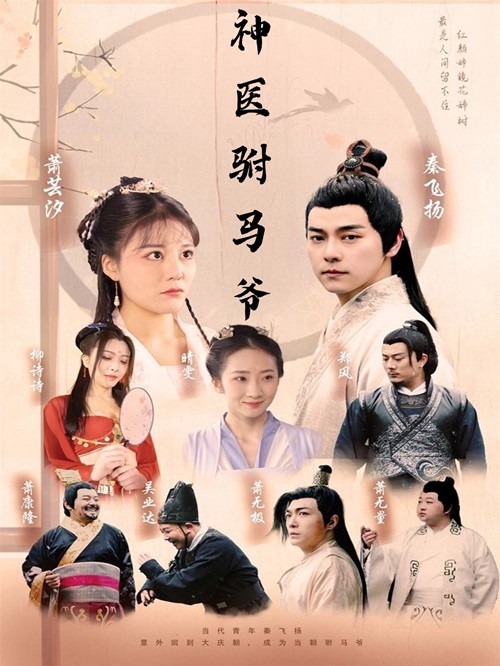 神醫駙馬爺(2024)海報