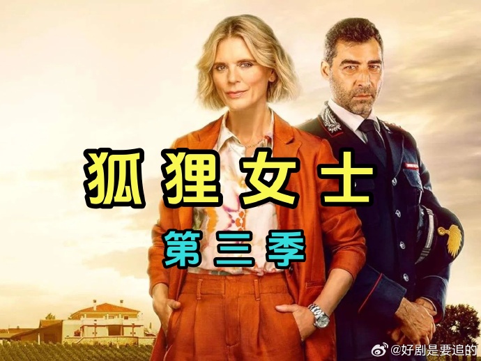 狐狸女士 第三季(2022)海报