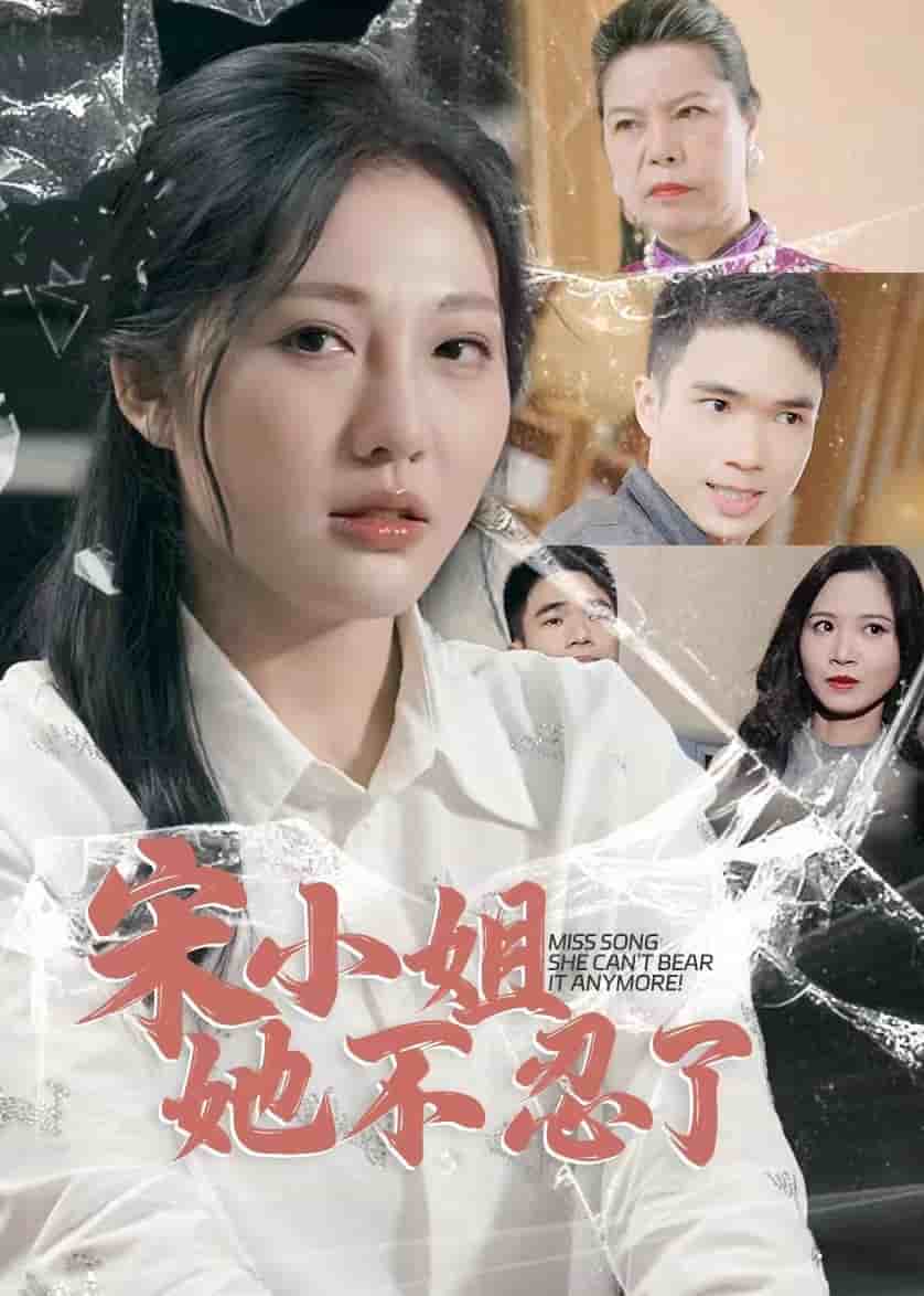 宋小姐她不忍了(2024)海報