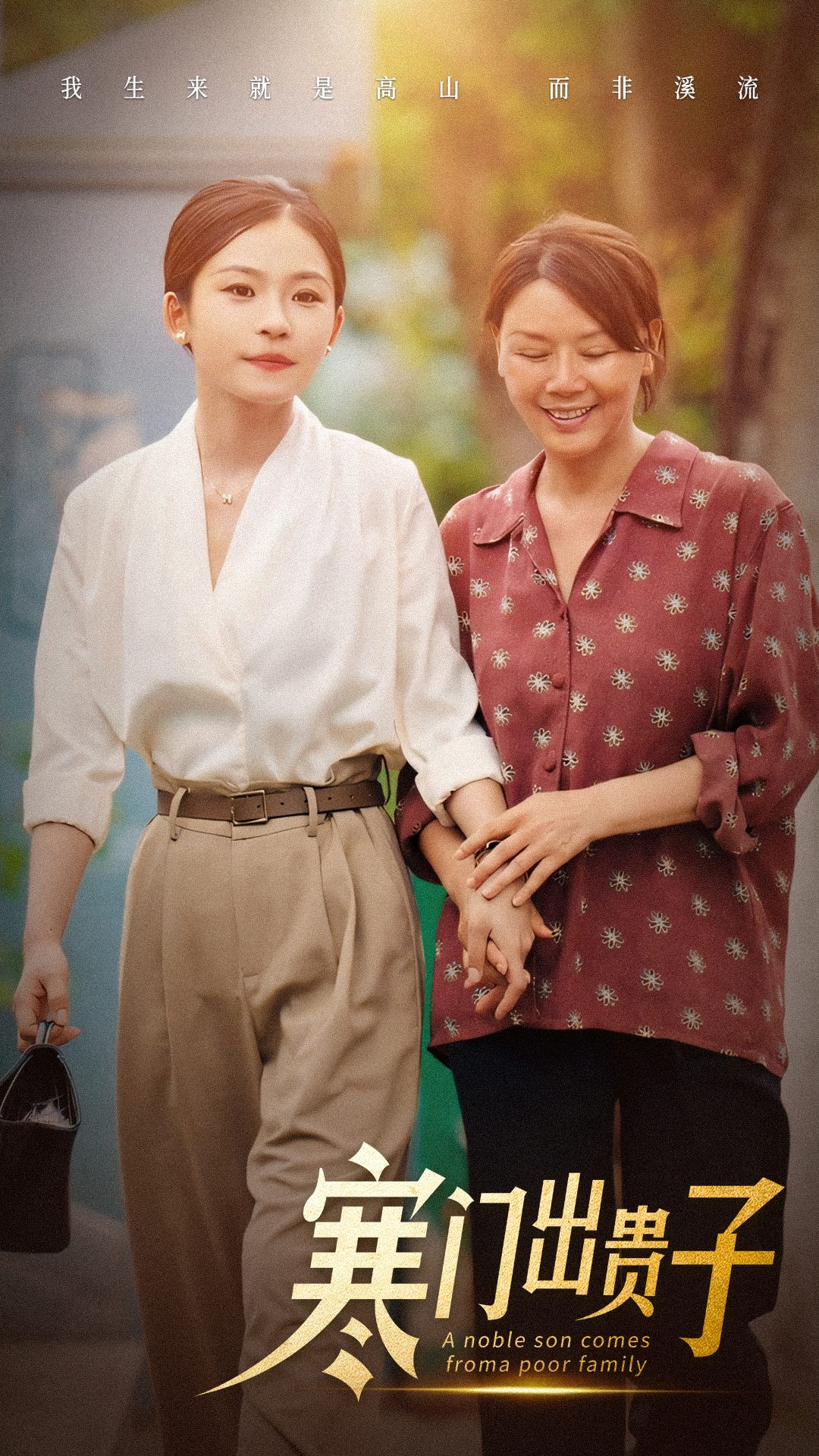 寒门出贵子(2024)海报