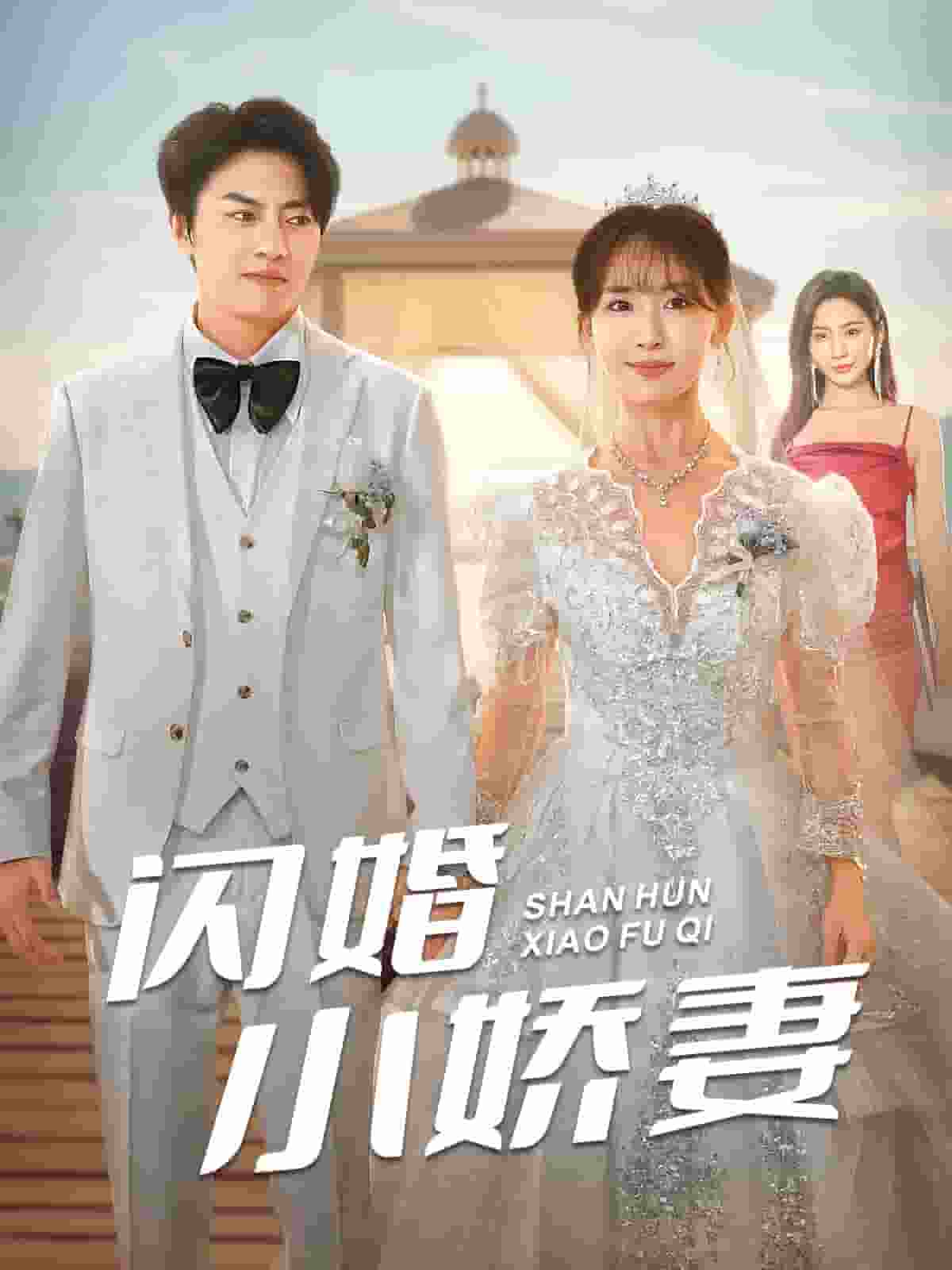 閃婚小嬌妻(2024)海報