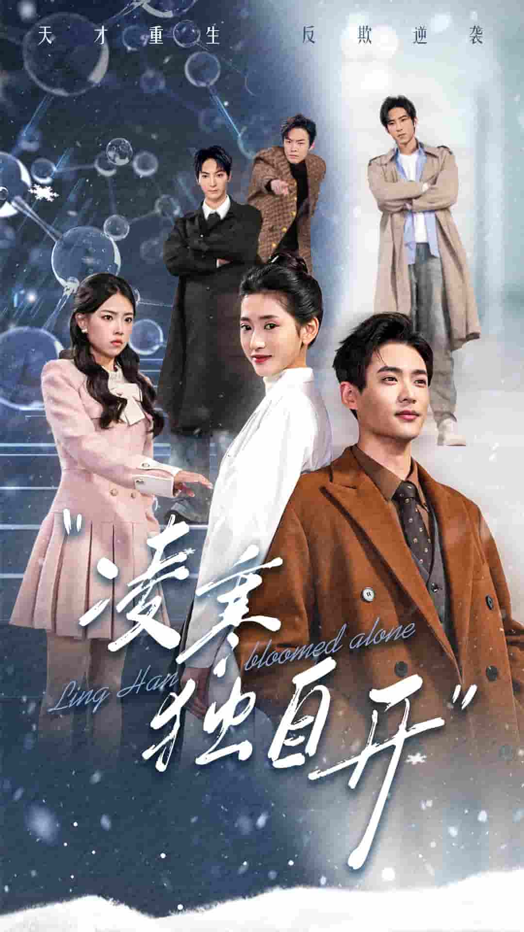 凌寒独自开(2025)海报