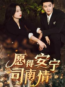 愿得安宁司南情(2025)海报