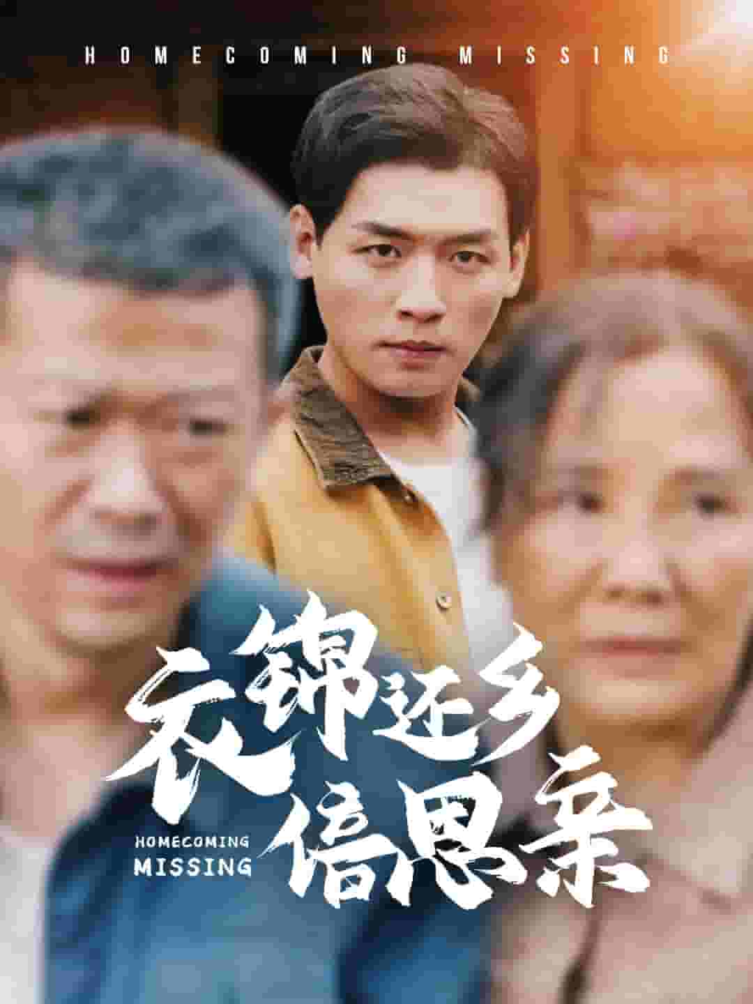 衣锦还乡倍思亲(2025)海报
