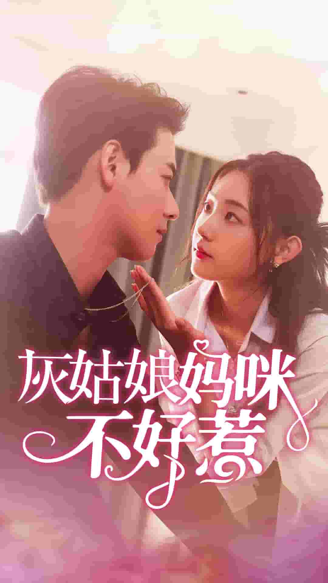灰姑娘媽咪不好惹(2024)海報