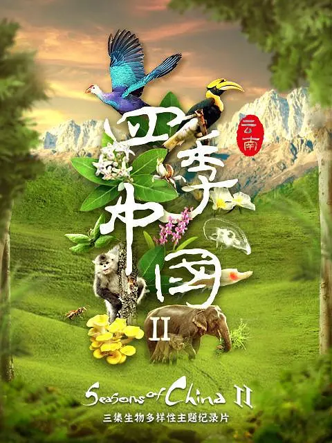 四季中國第二季粵語(2021)海報
