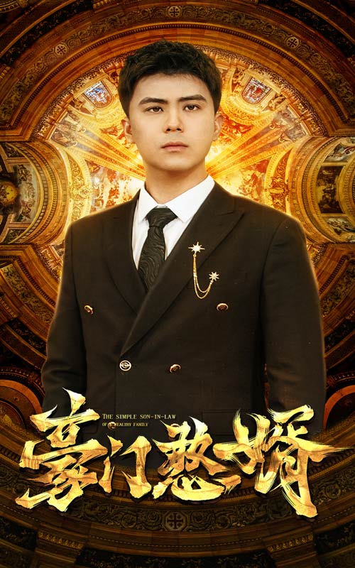 豪門憨婿(2024)海報