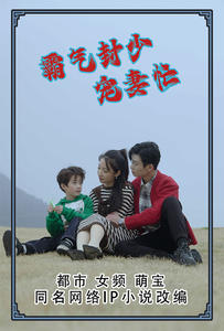霸气封少宠妻忙(2024)海报