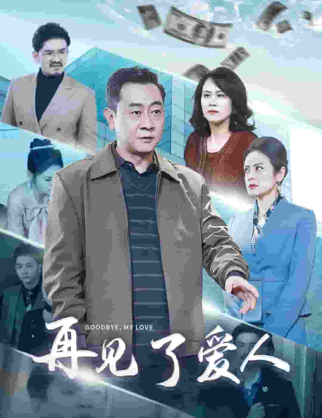 再见了爱人(2025)海报