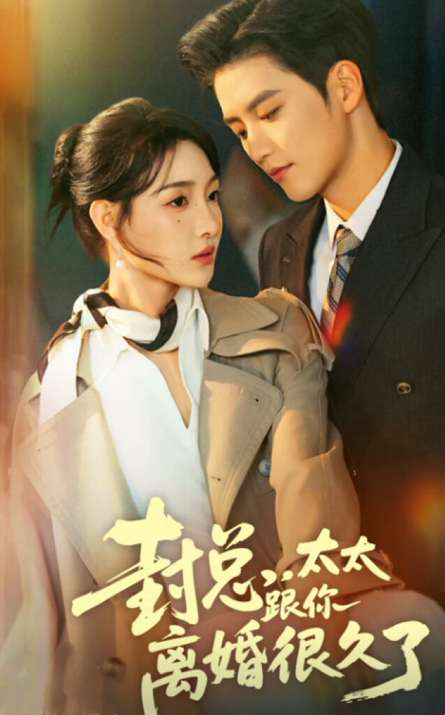 封總,太太跟你離婚很久了(2026)海報
