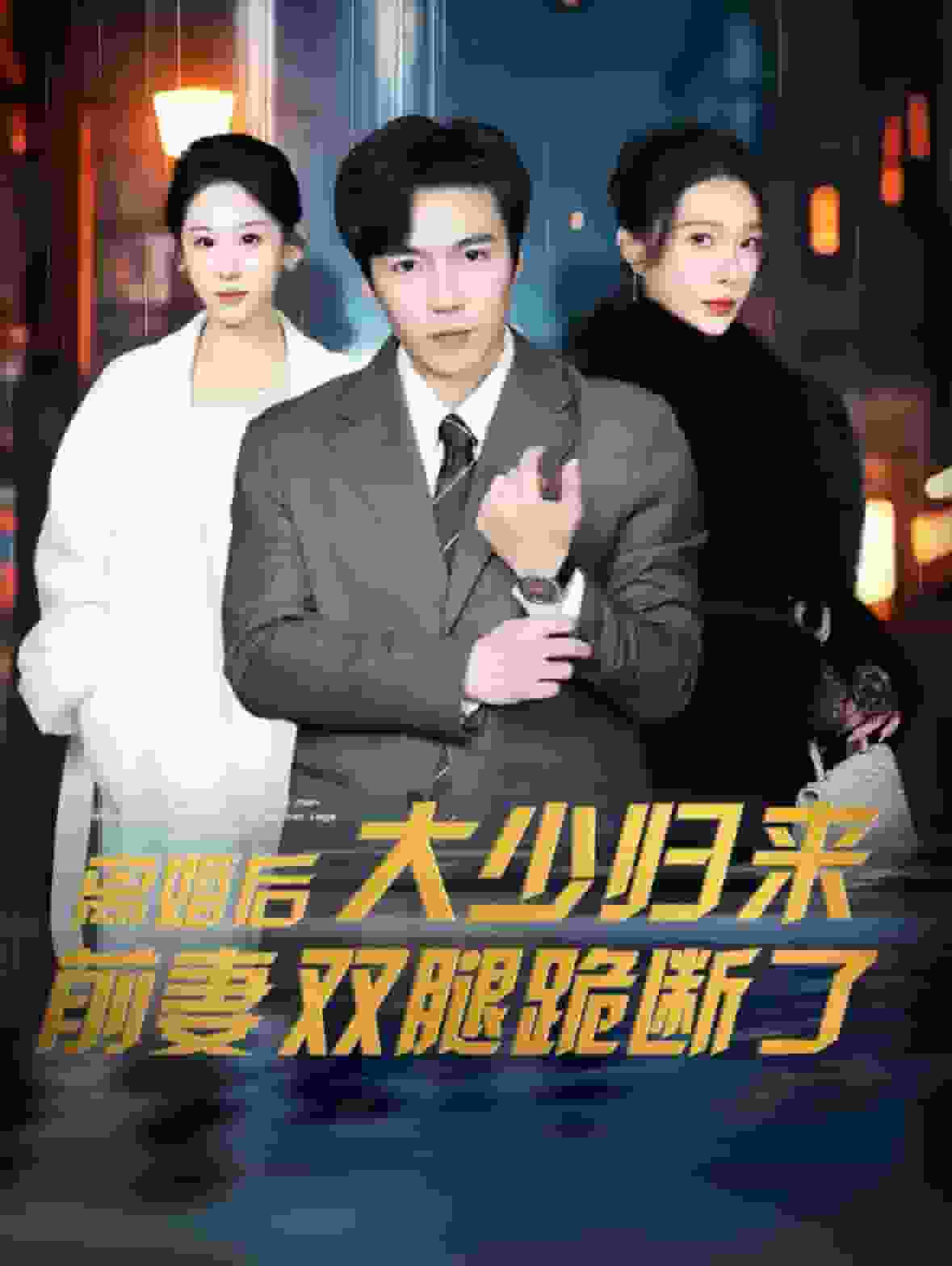 離婚後大少歸來前妻雙腿跪斷了(2025)海報