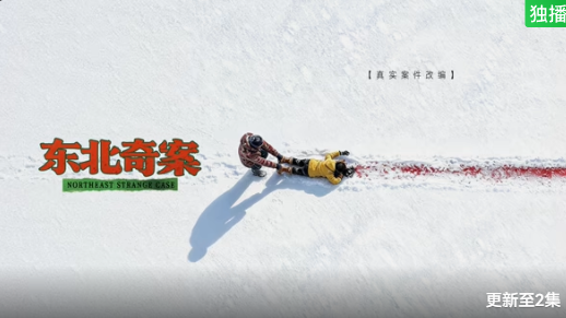 东北奇案(2026)海报
