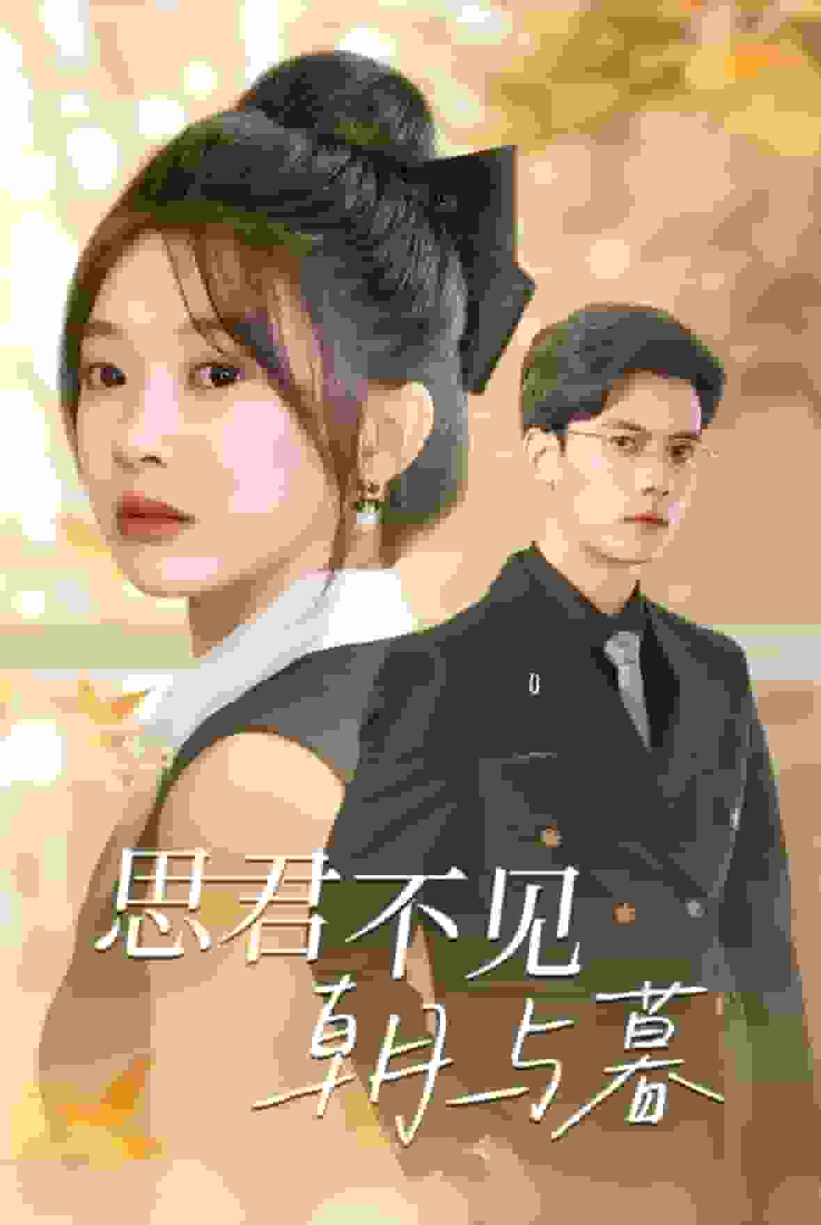 思君不见朝与暮(2024)海报