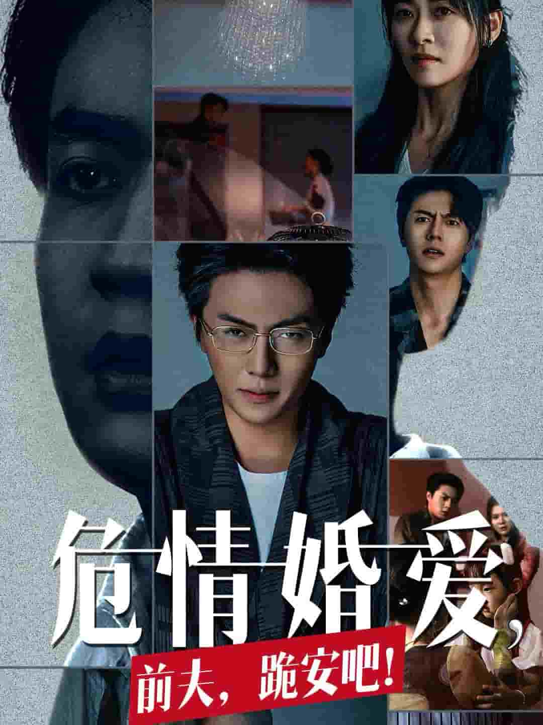 危情婚爱前夫跪安吧(2024)海报
