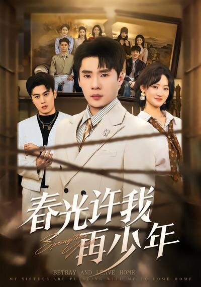春光許我再少年(2026)海報