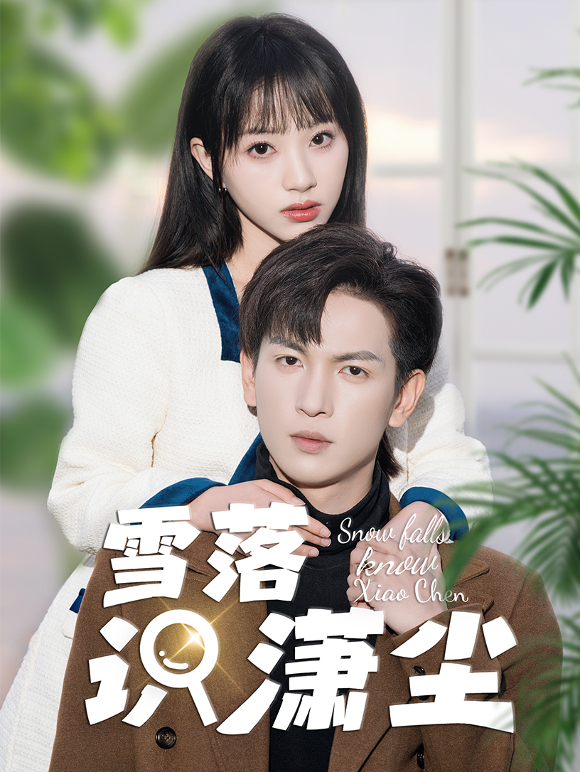 雪落识潇尘(2024)海报