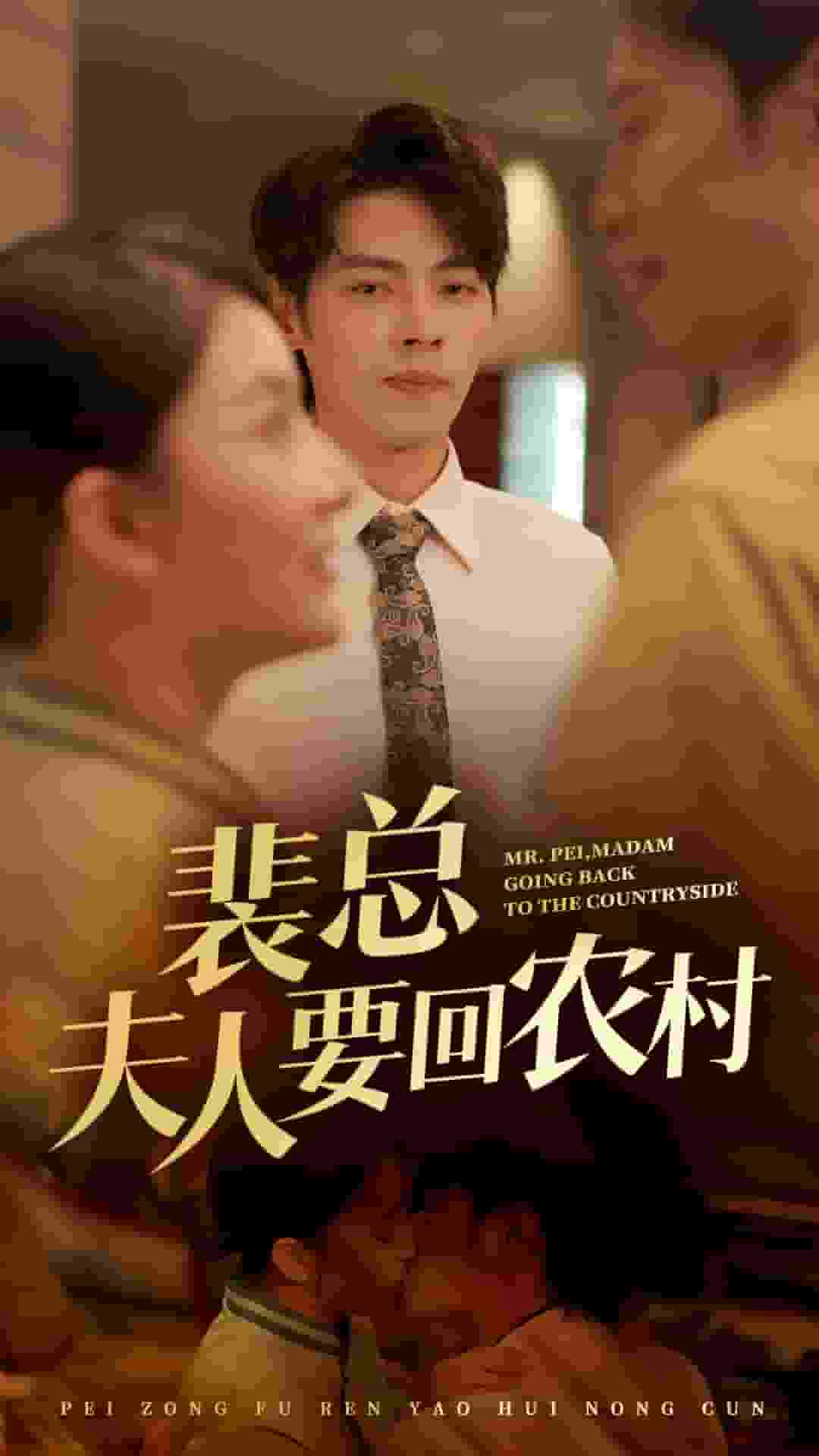 裴总夫人要回农村(2024)海报