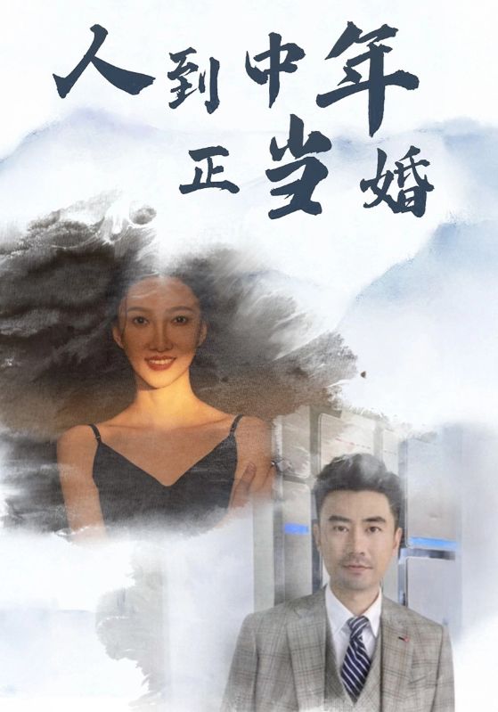 人到中年正當婚(2024)海報