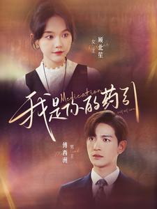 我是你的药引(2024)海报