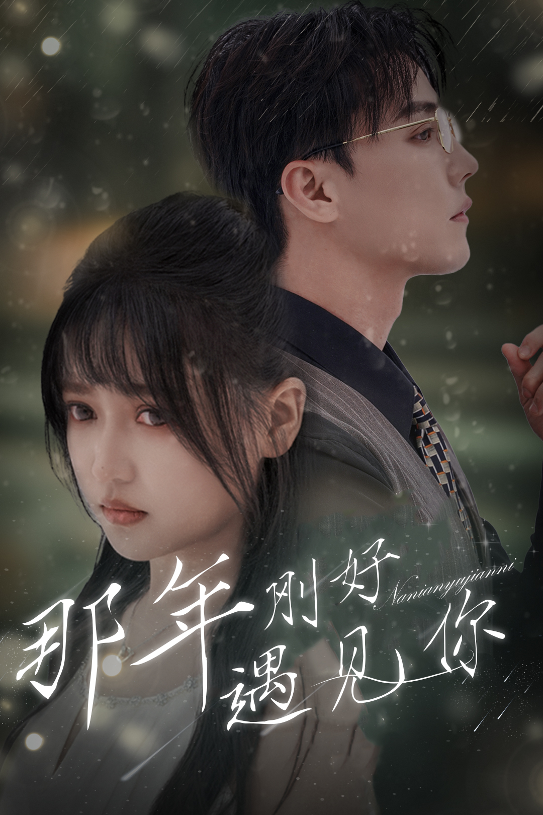 那年刚好遇见你(2024)海报