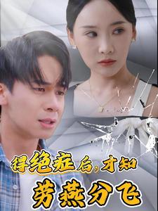 得绝症后才知劳燕分飞(2024)海报