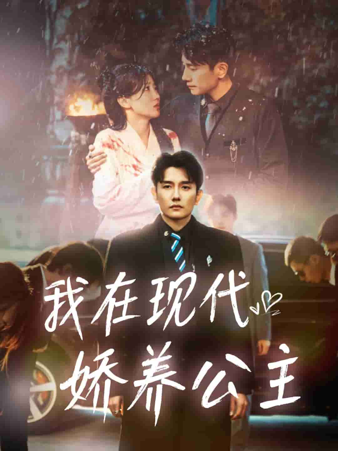 我在現代嬌養公主(2025)海報