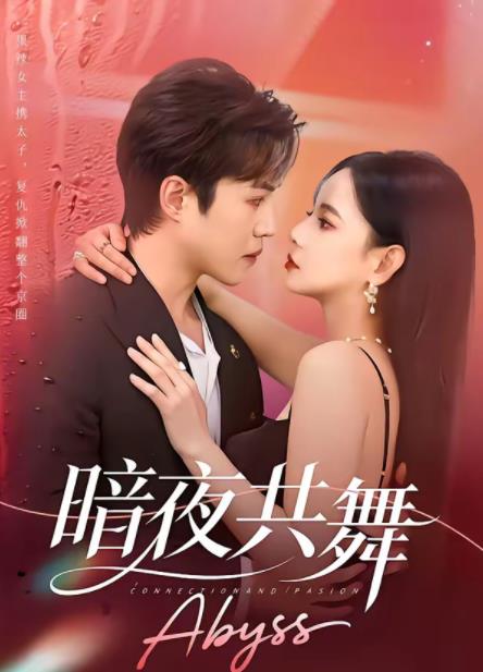 暗夜共舞(2026)海报