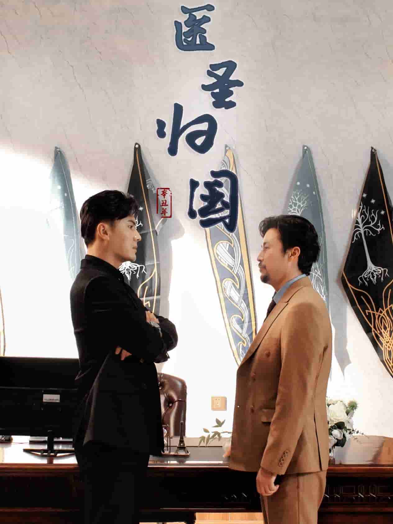 医圣归国(2025)海报