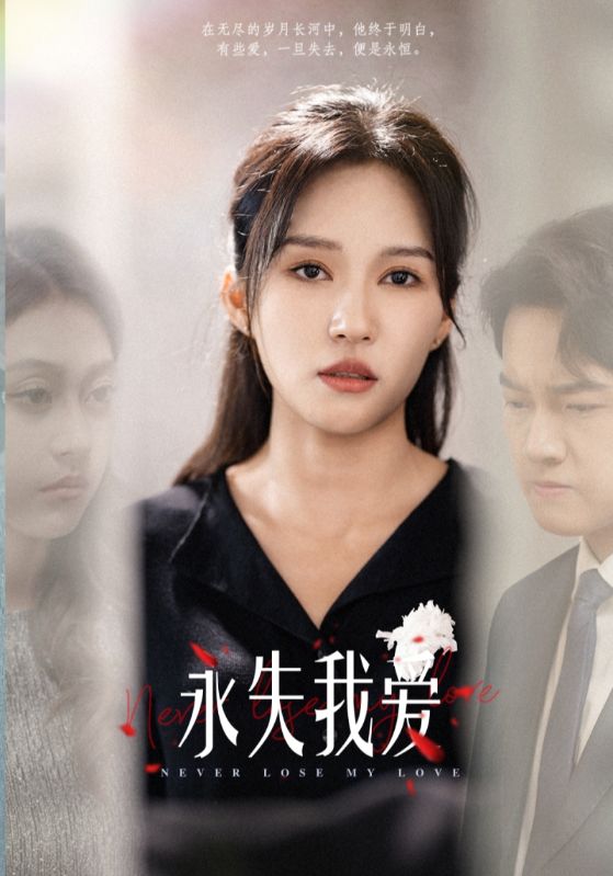 永失我爱 短剧版(2025)海报