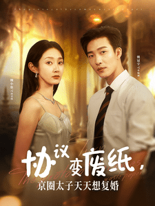 协议变废纸,京圈太子天天想复婚(2024)海报