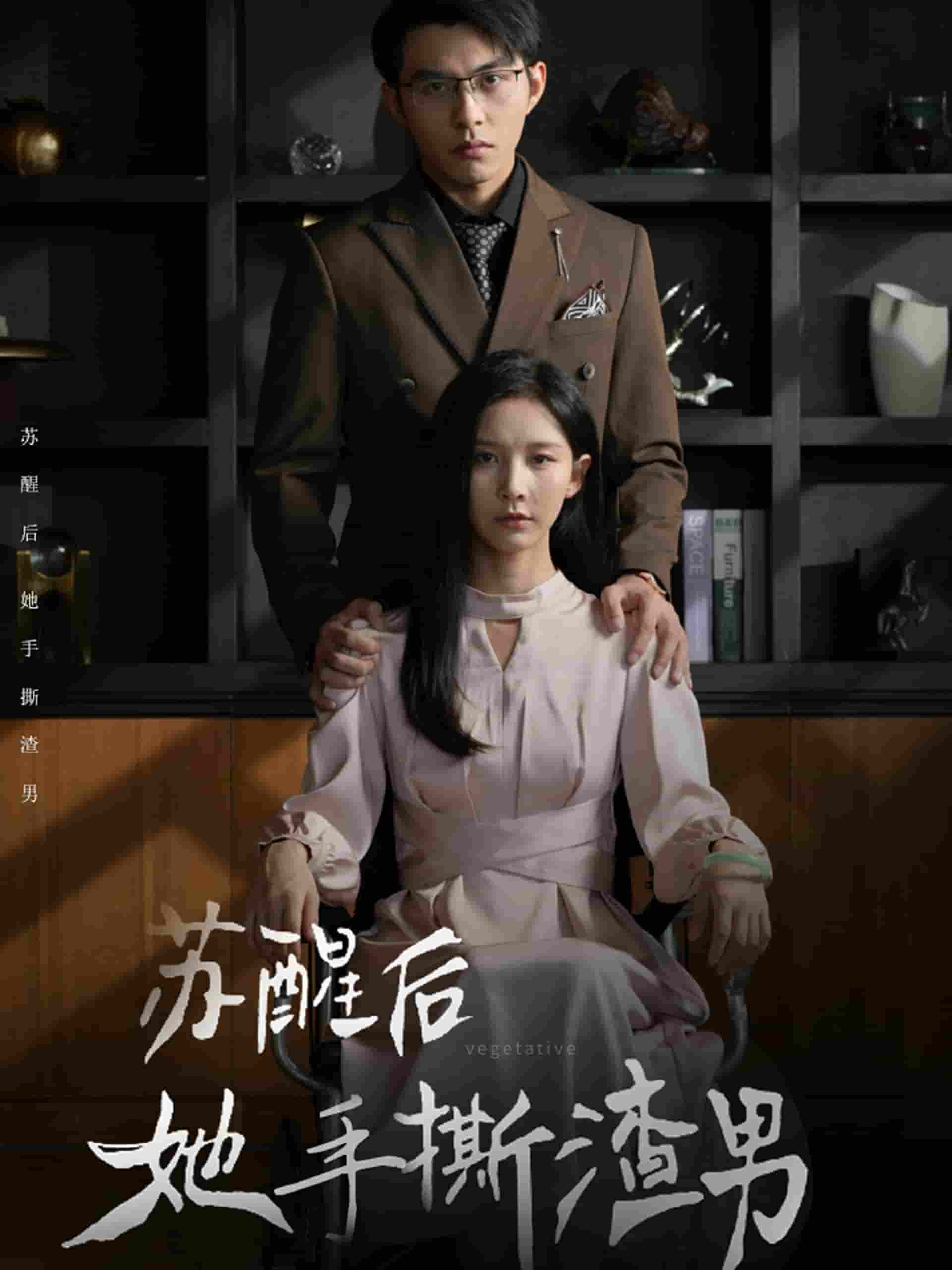 苏醒后她手撕渣男(2024)海报