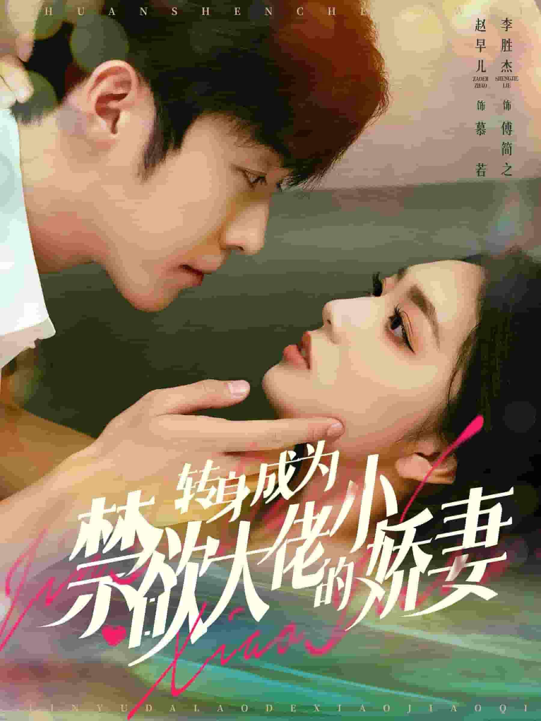 轉身成為禁慾大佬的小嬌妻(2024)海報