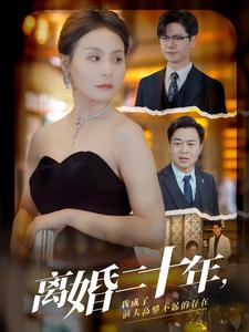 离婚二十年,我成了前夫高攀不起的存在(2024)海报