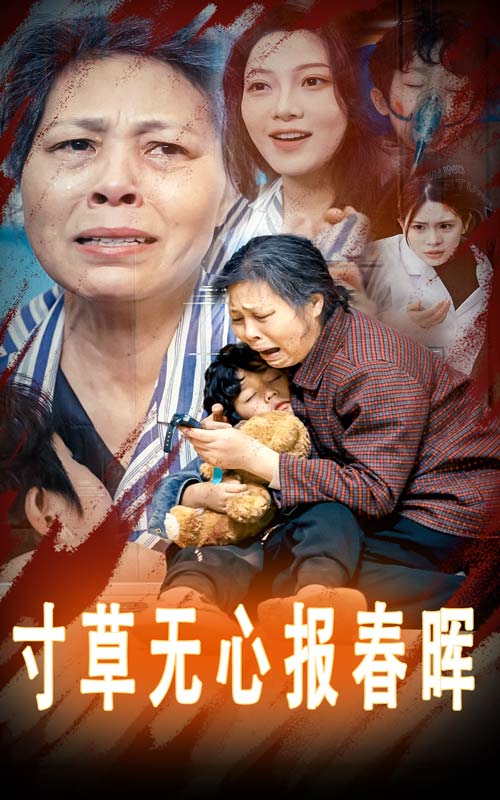 寸草无心报春晖(2025)海报