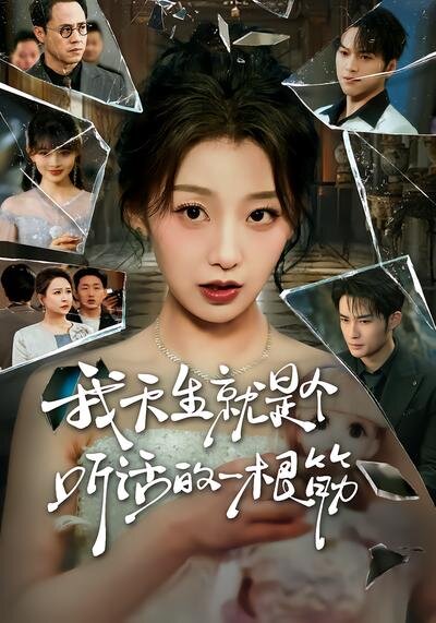 我天生就是個聽話的一根筋(2026)海報