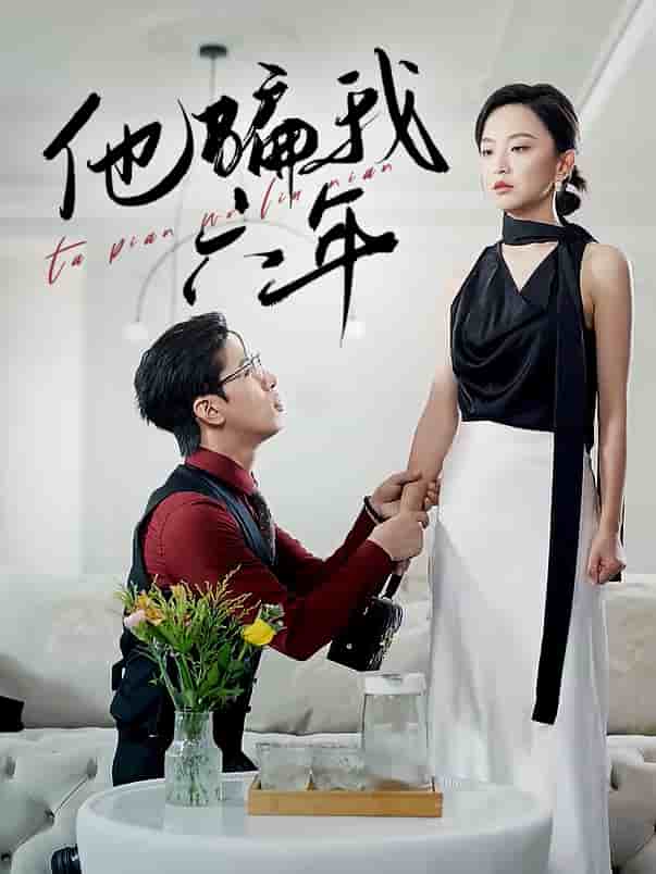 他骗我六年(2024)海报