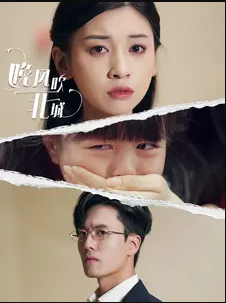 晚風吹北城(2024)海報