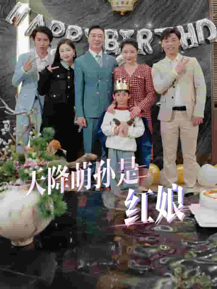 天降萌孙是红娘(2024)海报