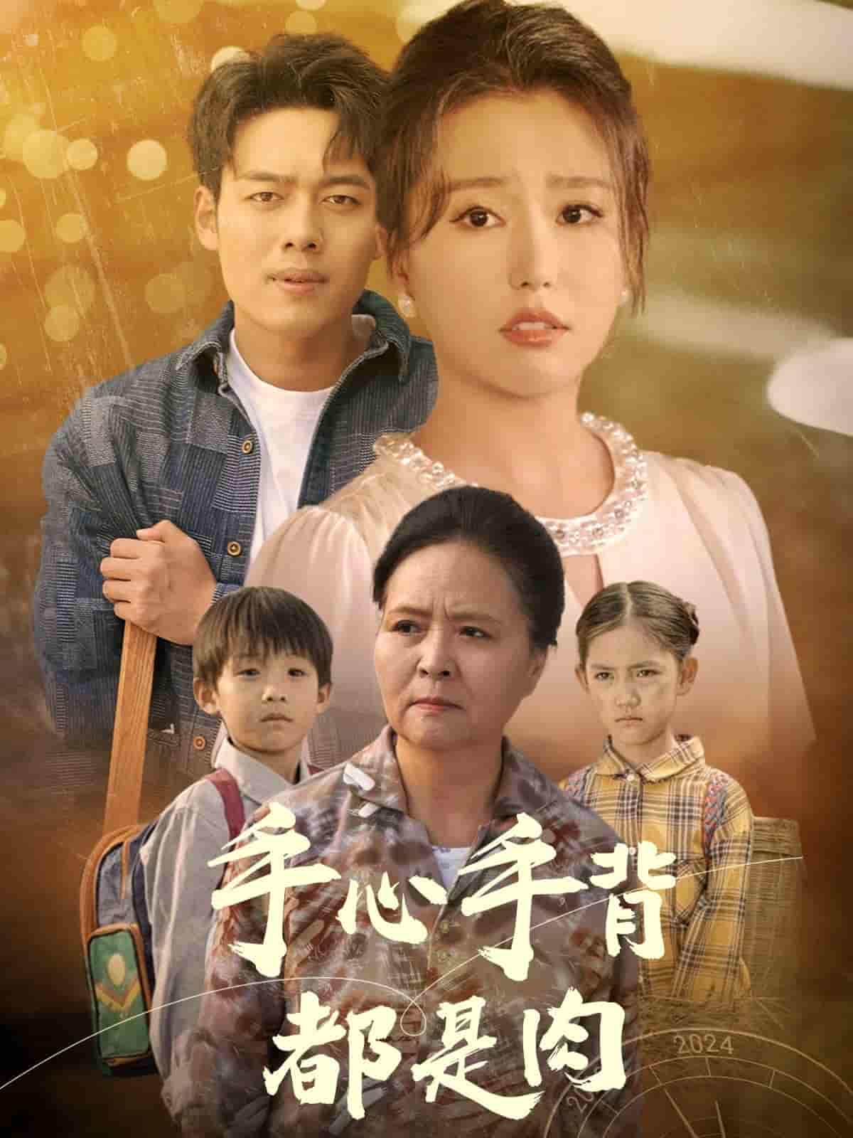 手心手背都是肉(2024)海報