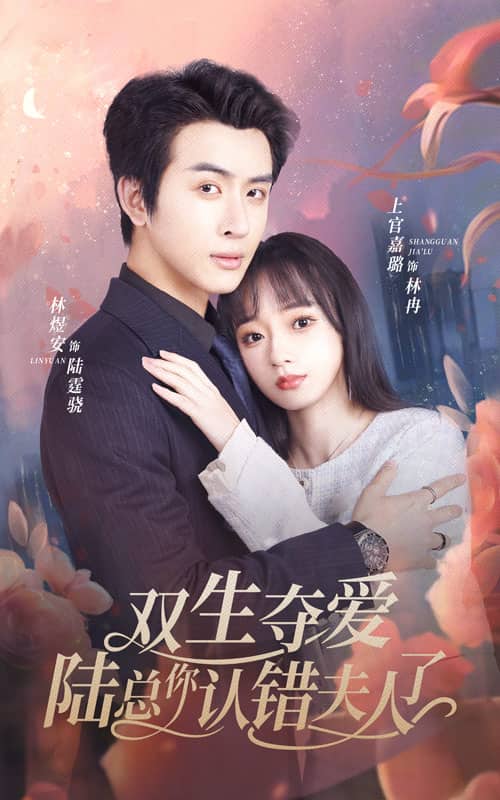 双生夺爱陆总你认错夫人了(2024)海报