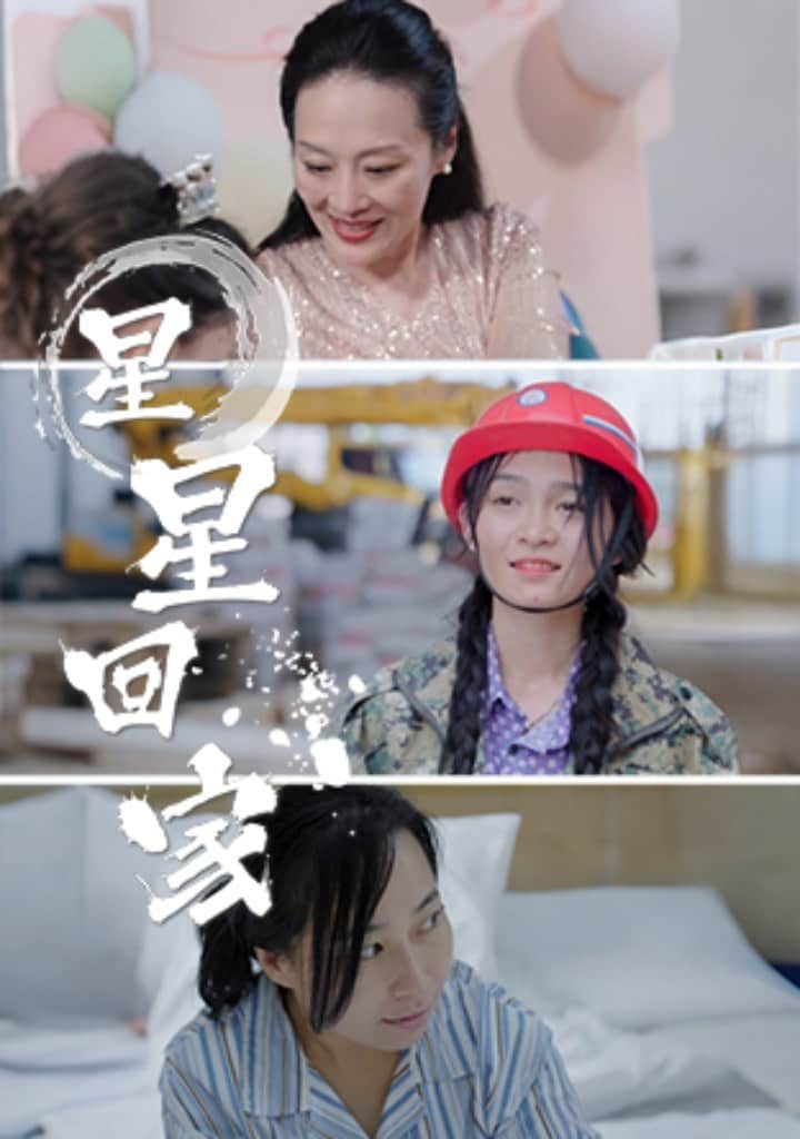 星星回家(2024)海报