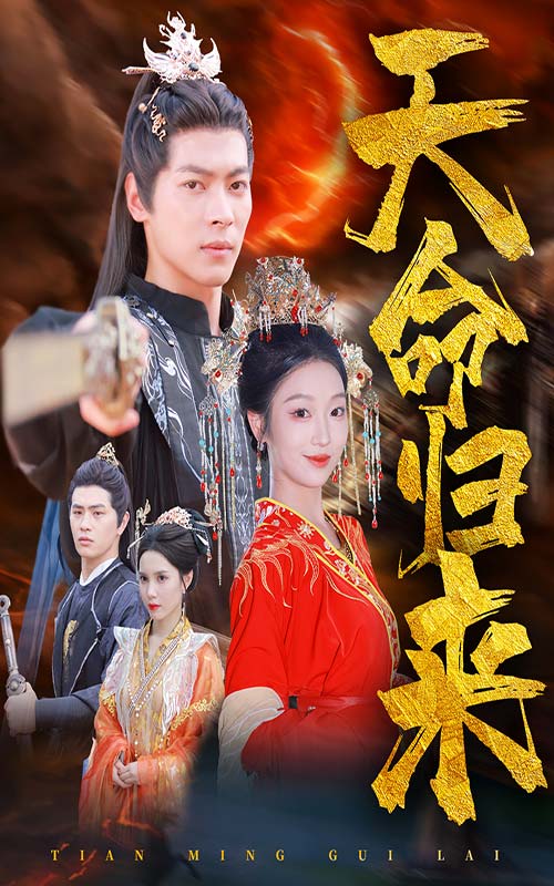 天命归来(2024)海报