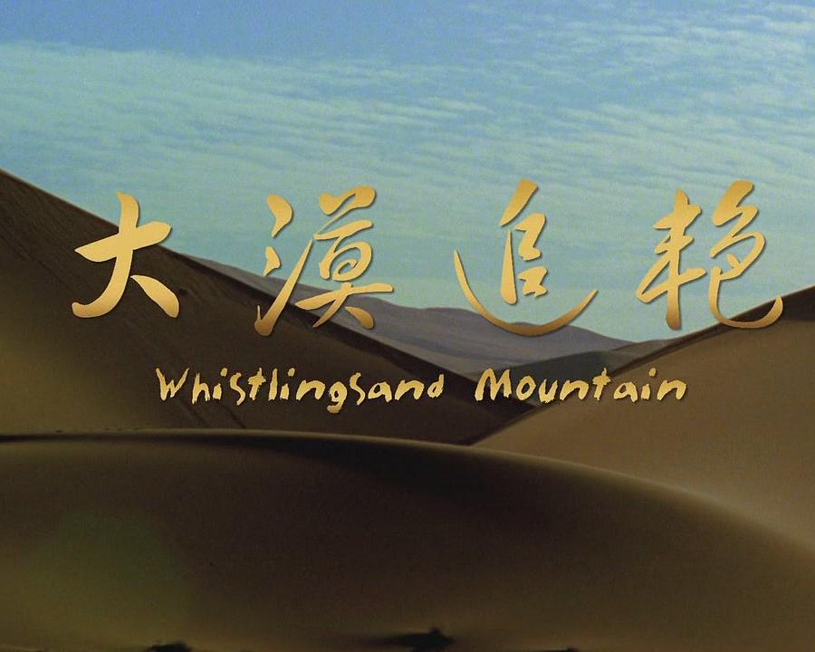 大漠追豔(2011)海報