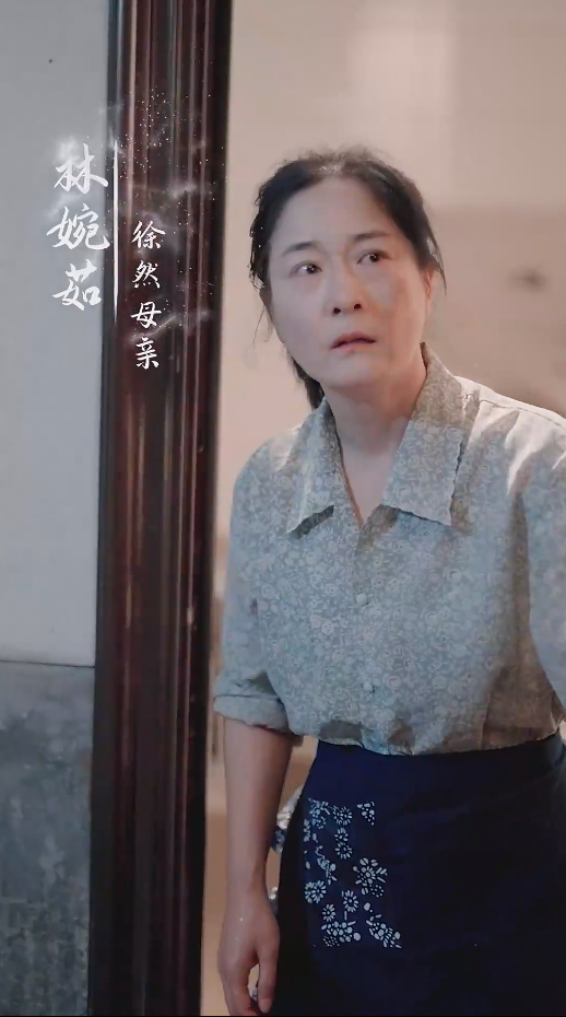 谁怜天下慈母心短剧(2024)海报