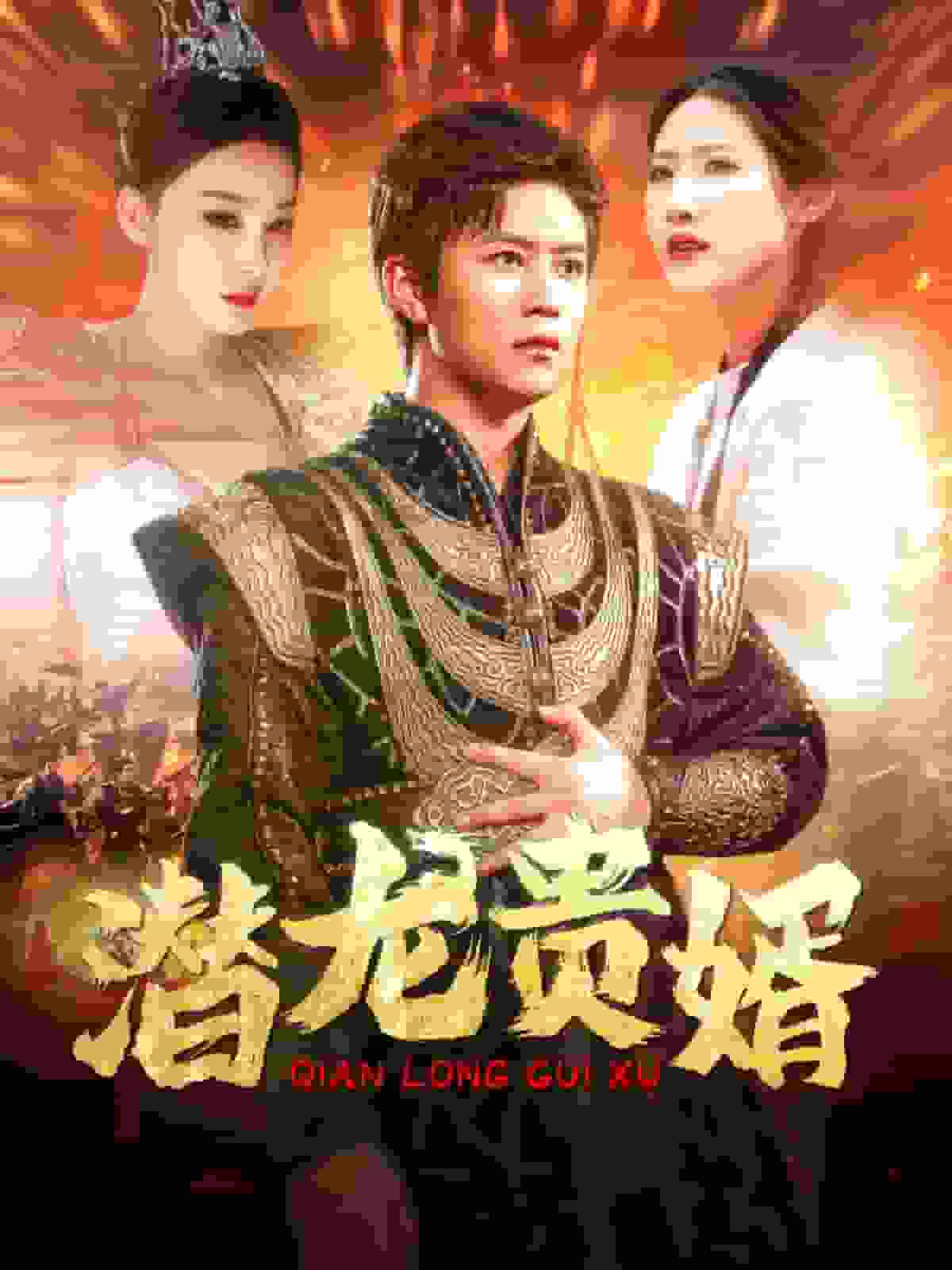 潜龙贵婿(2025)海报