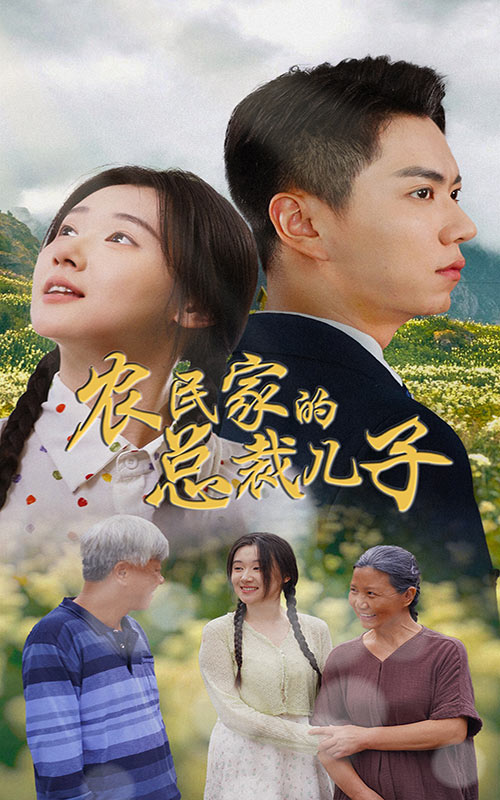 农民家的总裁儿子(2024)海报