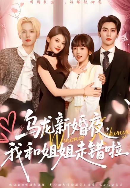 烏龍新婚夜,我和姐姐走錯啦(2026)海報